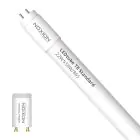 Noxion Tube LED T8 Avant (EM/Direct 230V) Standard Output 19W 2300lm - 865 Lumière Du Jour | 150cm - Équivalent 58W