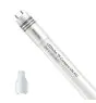 Philips LED Buis T8 CorePro (UN) High Output 8W 900lm - 840 Koel Wit | 60cm - Vervangt 18W